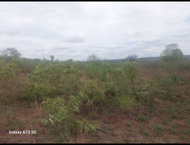 8,000M² VACANT LAND FOR SALE IN MUTOTI